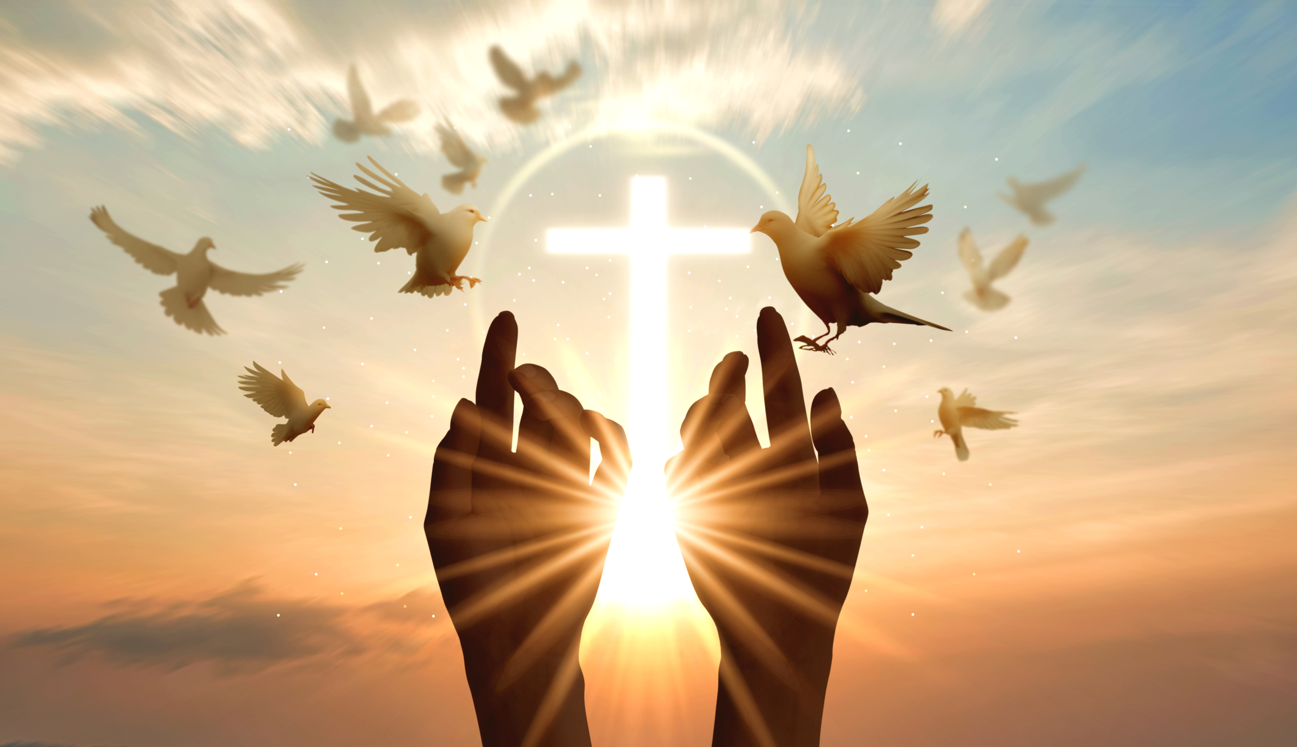 Tangan Terangkat di Depan Tanda Salib dan Burung di Udara
